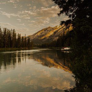 Meet your Posher, Tim